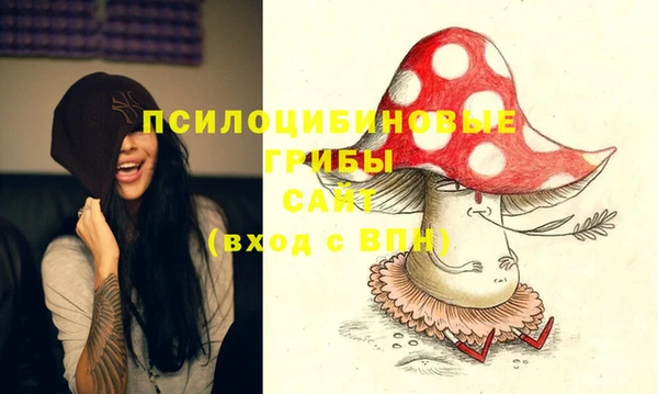 мдма Богданович